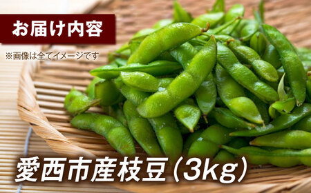 【毎年7月から順次発送】枝豆 3kg 野菜 枝豆 おつまみ[AECM004]
