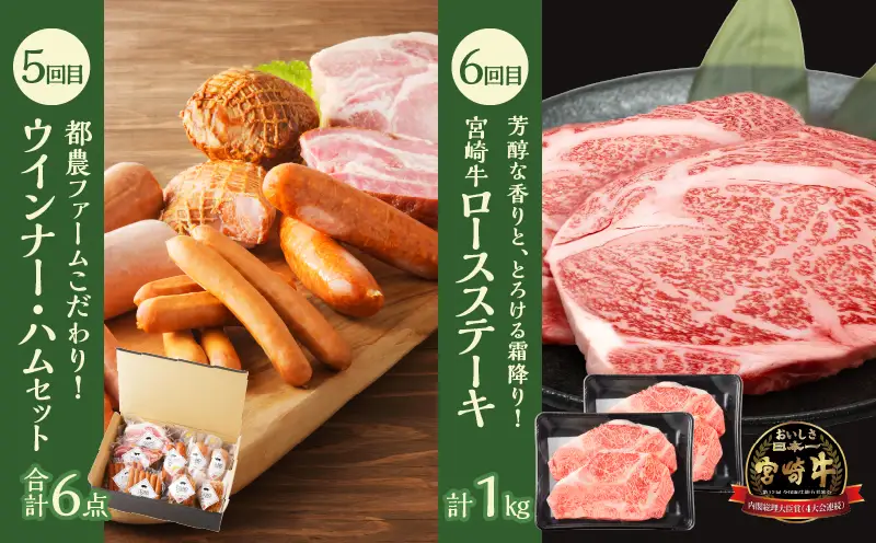 ≪6か月お楽しみ定期便≫都農町定期便(竹) 肉 加工品 鰻 国産_T999-0066