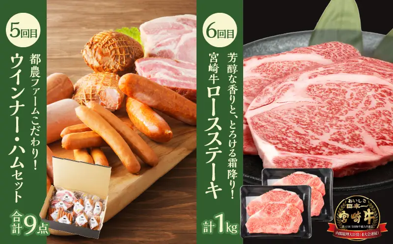 ≪6か月お楽しみ定期便≫都農町定期便(松) 肉 加工品 鰻 国産_T999-0076