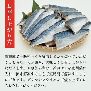 訳あり 無塩 サバ フィレ 3.0kg (30枚前後)  さば 鯖 切り身 宮城県 石巻市