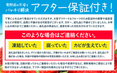 【2ヶ月定期便】あまおう 500g いちご