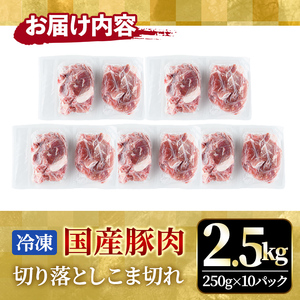 国産豚切り落としこま切れ冷凍2.5kg（250gｘ10パック） 豚肉 豚【切り落とし】【ho1441】