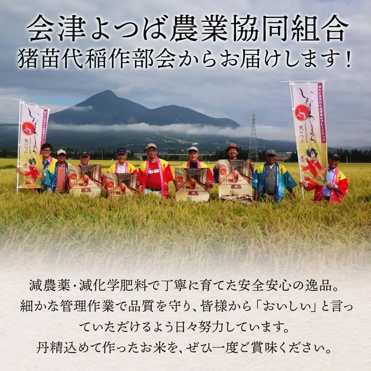 定期便 【10ヵ月連続】令和7年産 猪苗代町ブランド米 いなわしろ天のつぶ 10kg ｜ 米 お米 精米 白米 福島 大粒 寿司 和食