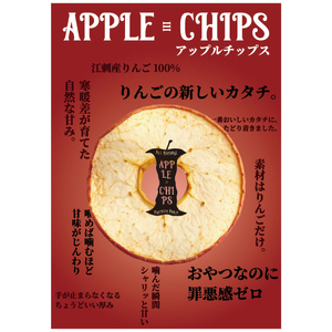  APPLECHIPS(リンゴチップス)×5個セット [BW002]