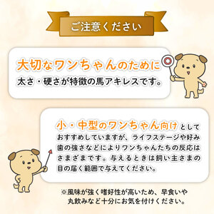 無添加 馬アキレスロング 500g×2袋 薄め [ペットフード ドッグフード ペットフード ドッグフード] KT001