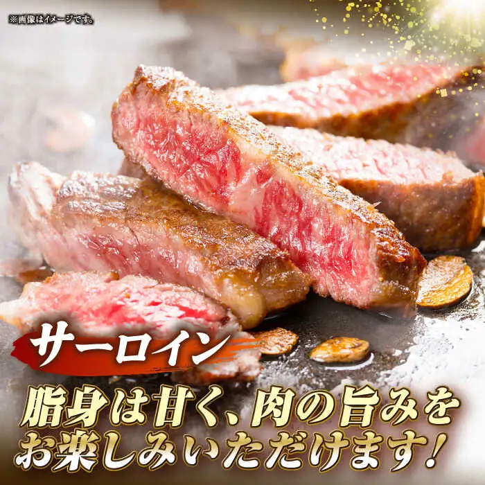【全12回定期便】長崎和牛 サーロイン ヒレ ステーキセット 各1枚 《壱岐市》【KRAZY MEAT】 A5 A4 冷凍 和牛 肉 牛肉 BBQ 詰め合わせ 贈り物[JER135] 九州