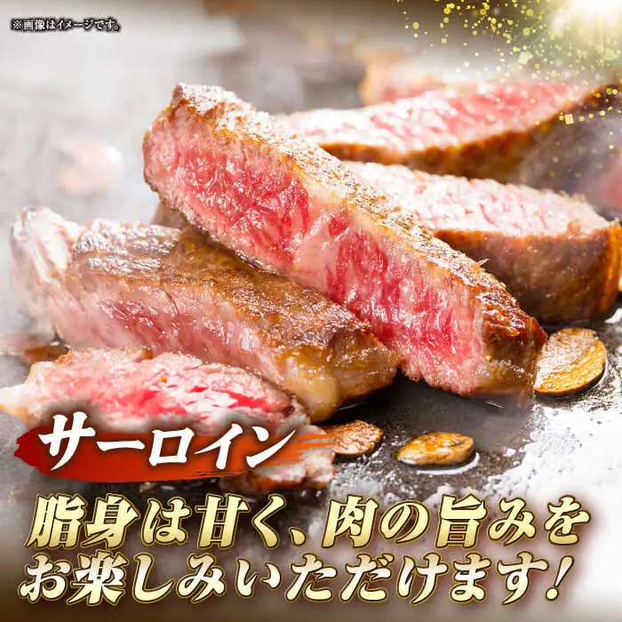 【全3回定期便】長崎和牛 サーロイン ヒレ ステーキセット 各2枚 《壱岐市》【KRAZY MEAT】 A5 A4 冷凍 和牛 肉 牛肉 BBQ 詰め合わせ 贈り物[JER137] 九州