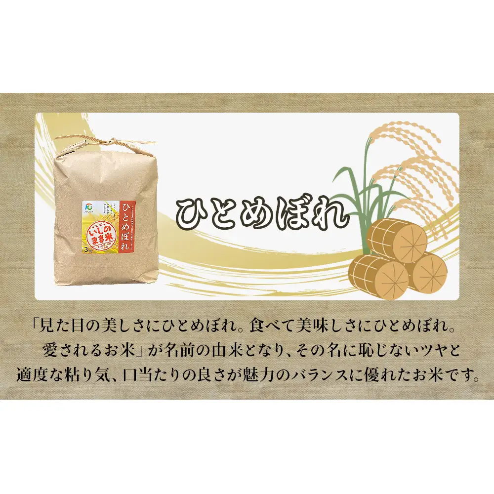 令和7年産 お米3銘柄食べ比べ 9kg (3kg×3）米 精米 ササニシキ ひとめぼれ だて正夢 宮城県 石巻市
