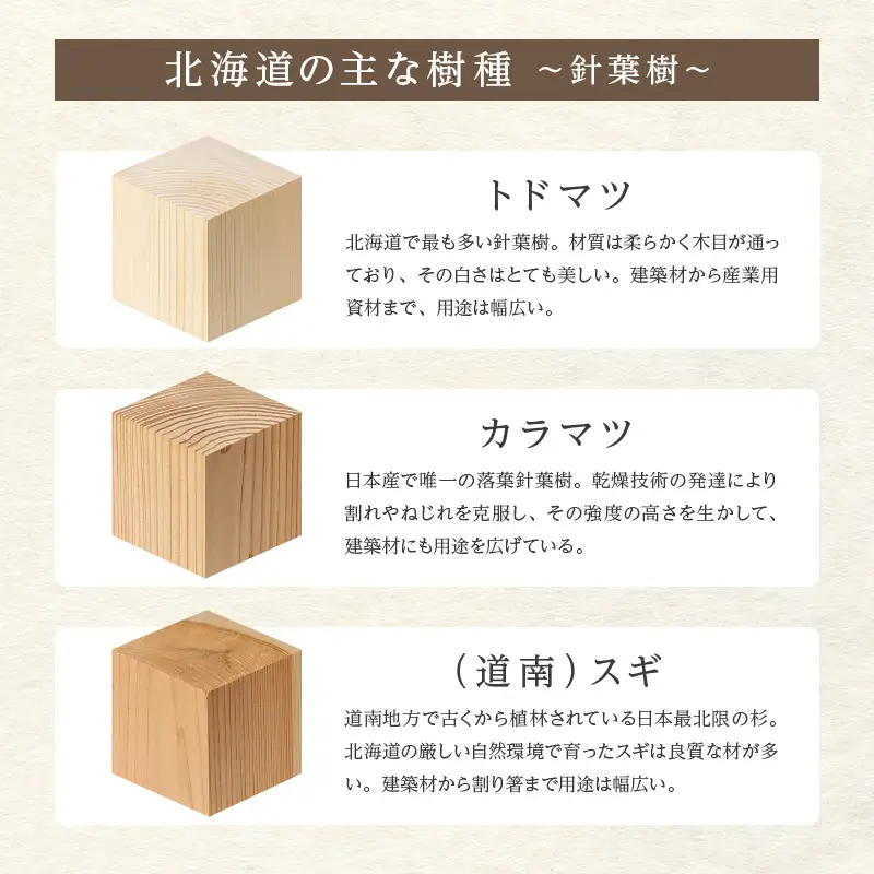 トレイ「grid」 オレンジ 木製 HOKKAIDO WOOD F6S-278