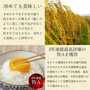 【3回定期便】【無洗米】丹波産キヌヒカリ 6kg 真空パック 無洗