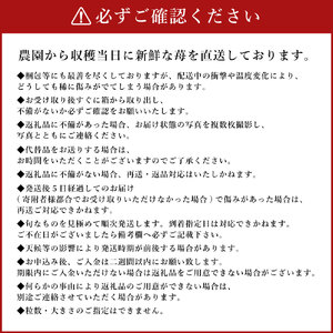 あまおう 約570g 約285g×2パック いちごファームきらら【ふくおかエコ農産物認証】【2027年2月上旬-3月下旬発送予定】