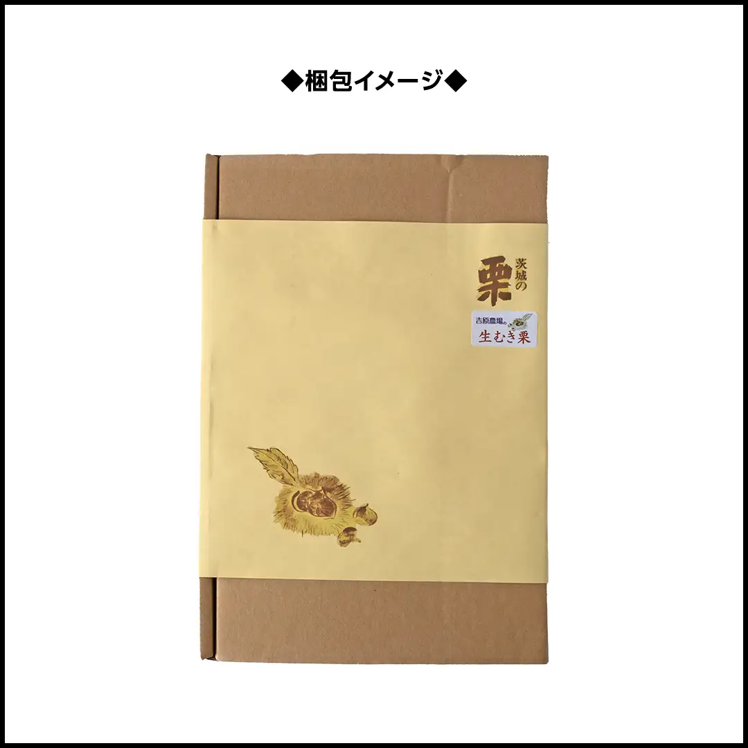《 2026年 収穫分 》 熟成 プレミアム 生むき栗 ( 渋皮付き 500g × 1袋 ) 先行予約 吉原農場 国産 完熟 栗 くり クリ 栗ごはん 栗きんとん 和栗 生栗 おやつ 和菓子 果物 フルーツ 贈答 ギフト 旬 秋の味覚 秋 冬 正月 おせち 小分け [FC007sa]