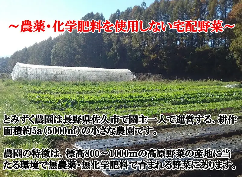 【2027年夏出荷開始・6回定期便】産地直送！旬の高原野菜セット(北海道・沖縄県・離島は配送不可) 長野 信州 無農薬 季節 新鮮 詰合せ 直送 先行予約〈2027年6月17日出荷開始～2027年12月28日出荷終了〉
