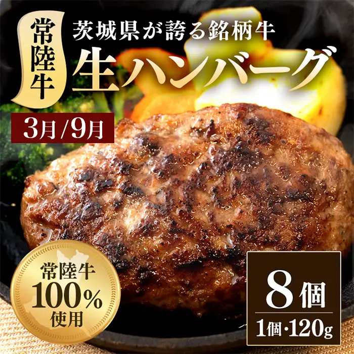 【定期便】【全6回】常陸牛お楽しみ定期便（6ヶ月連続でお届け） 528