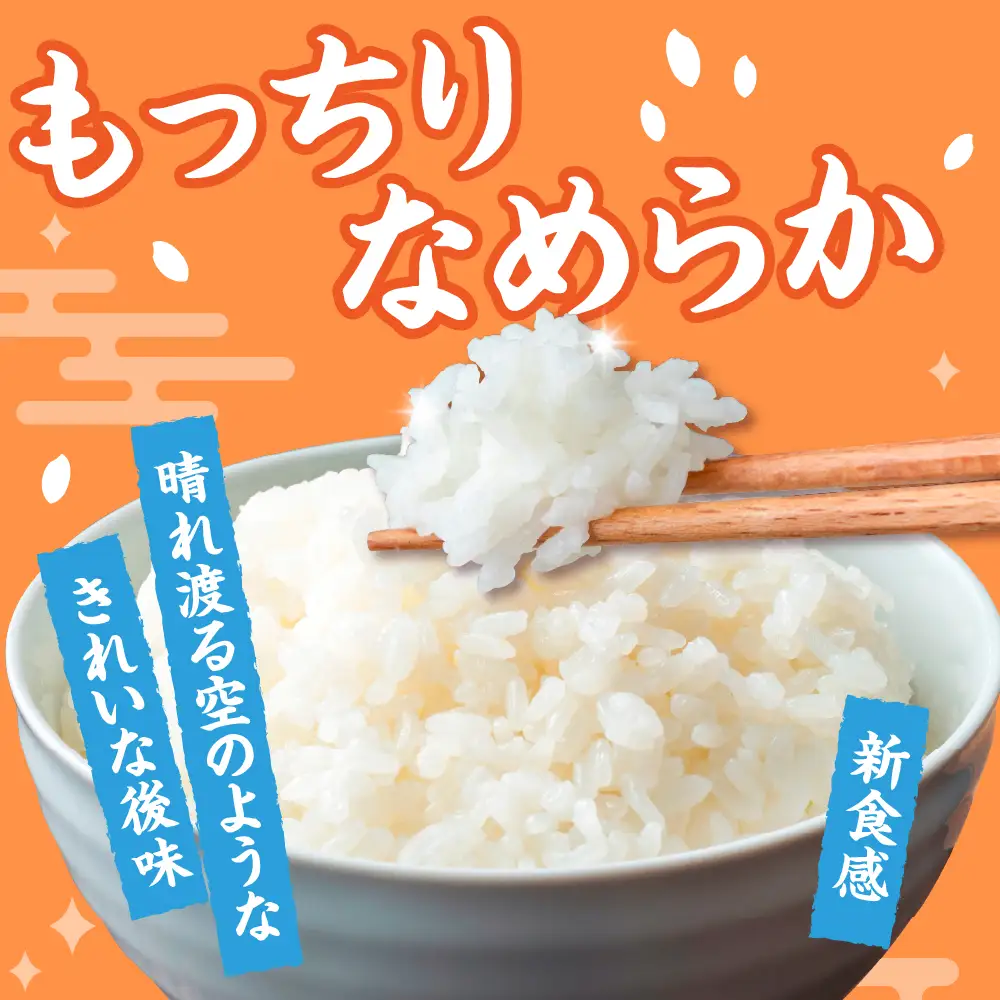 青天の霹靂 と はれわたり 計 10kg セット 【先行受付】【令和8年産米】 10kg (各5kg×2) 2品種食べ比べセット 青森県産 米 特別栽培米 【KonRiceFarmのお米 晴天の霹靂 晴れ渡り 晴れわたり harewatari 五所川原 】