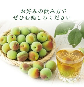 SZ0256　酒田の酒屋厳選　上喜元 うめしゅ　720ml×1本