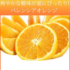 秀品 希少な国産バレンシアオレンジ 5kg