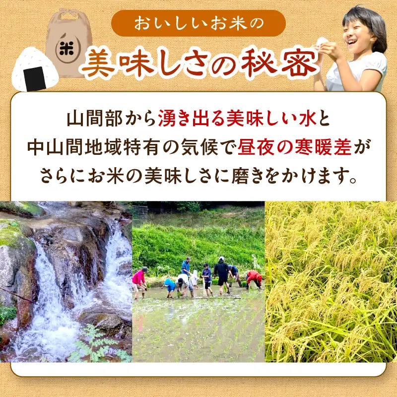 【令和7年】特別栽培米コシヒカリ 1.5kg コシヒカリ 京丹後市