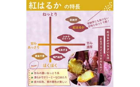 ≪訳あり≫ 栽培期間中農薬不使用 サツマイモ 6kg 紅はるか 無農薬 さつまいも サツマイモ キズアリ ワケアリ ワケアリ わけありさつまいも詰め合わせ 芋 いも 三重県 多気町 GE‐02