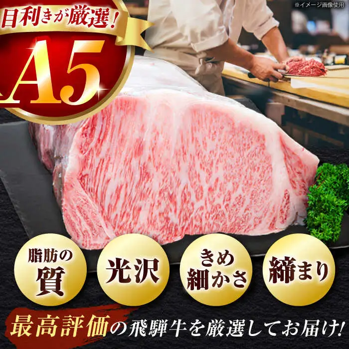 【12回定期】特選飛騨牛5等級サーロインステーキ800g [AVAG010] 飛騨牛 サーロインステーキ
