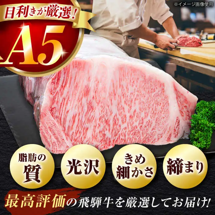 【3回定期】特選飛騨牛ステーキ&すきやき用 1kgセット[AVAG011] 飛騨牛 定期便