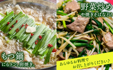 【生産量日本一】高知県香南市産 ニラ 1kg（100g×10束）【にら 韮 生 野菜 やさい ニラ 香味野菜 特産品 ニラ 産地直送 ニラ】 kk-0001