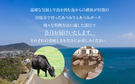 【定期便】あつみ牛豚食べつくし定期便 12回