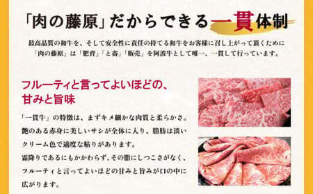 霜降り スライス 1kg 国産 黒毛和牛 とくしま三ツ星ビーフ 徳島県産 ブランド 和牛 牛肉