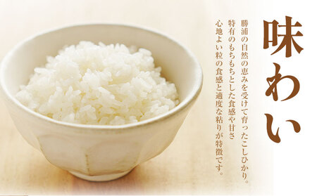 令和8年産 勝浦産 コシヒカリ 白米 5kg 中村米店