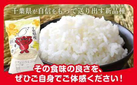 令和8年産 千葉県産 粒すけ 白米 5kg 米 御門商店