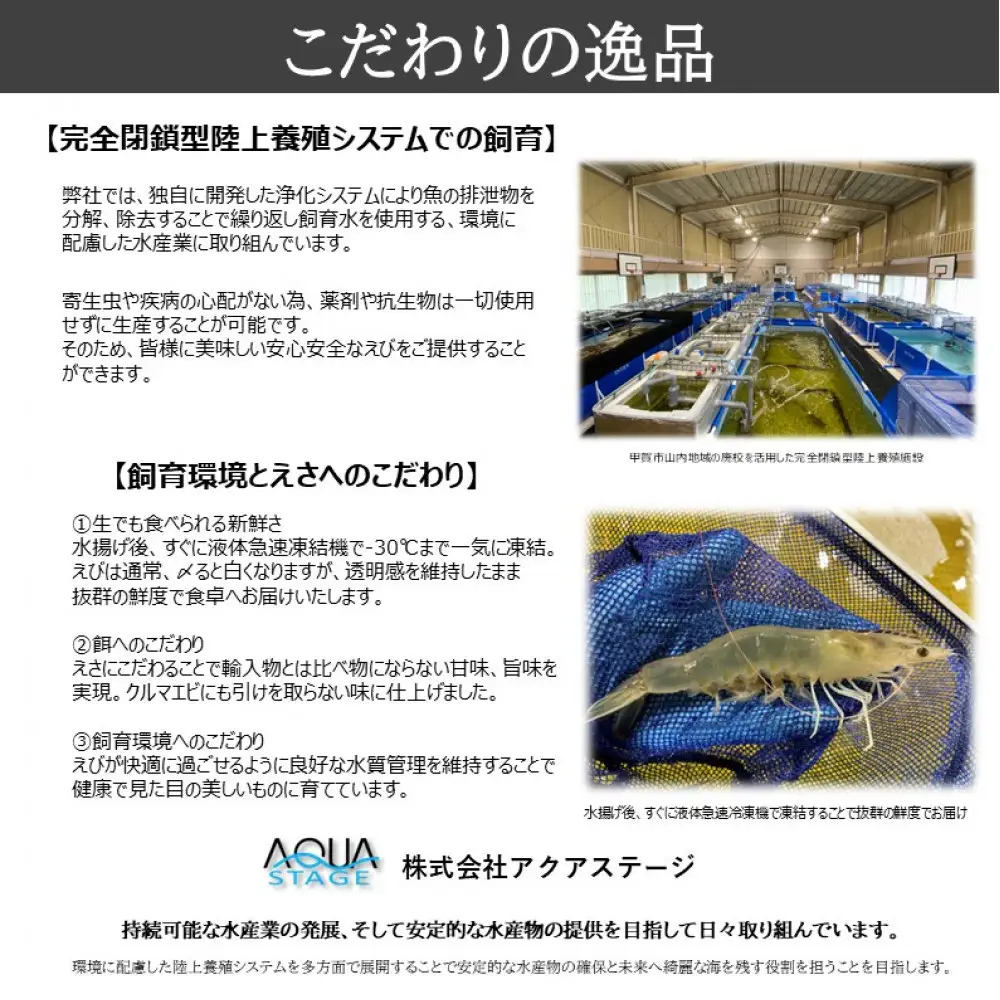 甲賀水晶えび 200g × 3パック