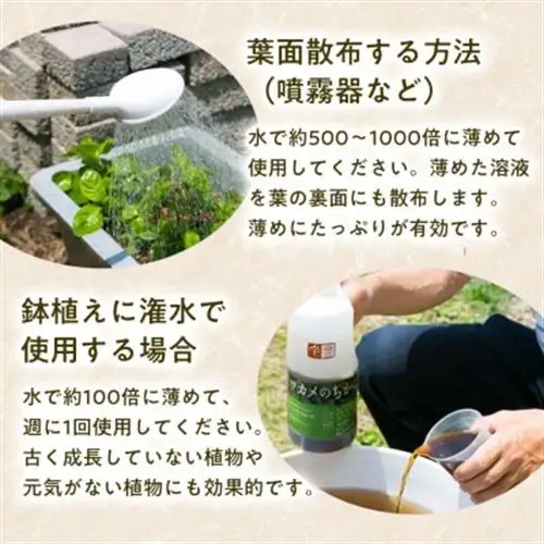 ワカメのちから　300mボトル_雑貨・日用品 アウトドア用品 スポーツ・アウトドア用品 _【1566453】