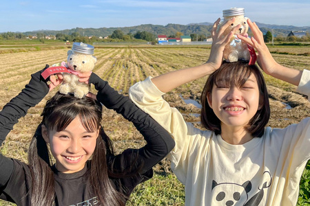 米 令和6年 熊さんボトル3兄弟！ 食べ比べ 3種セット ななつぼし あやひめ ゆめぴりか 各2合 計6合