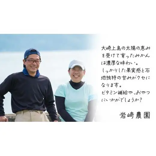 【先行予約】瀬戸内産 島の 完熟 みかん 詰め合わせ 5kg ( 45～55個程度 ) 【12月中旬～1月発送】