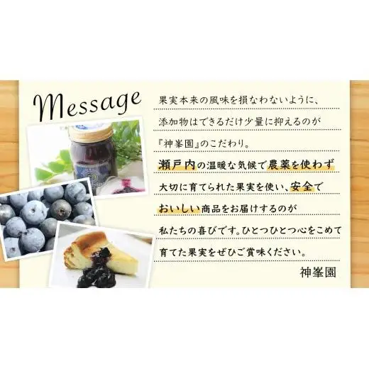大崎上島産 ブルーベリー100%デザートソース 500mL×2本
