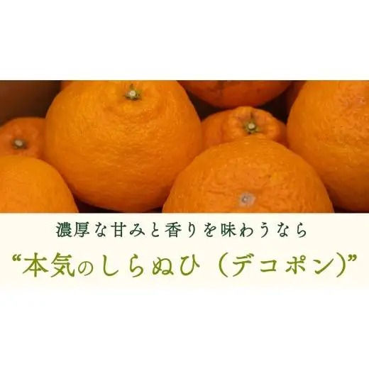 【 先行予約 】瀬戸内 オーガニック 不知火 3kg 【2027年2月～3月発送】