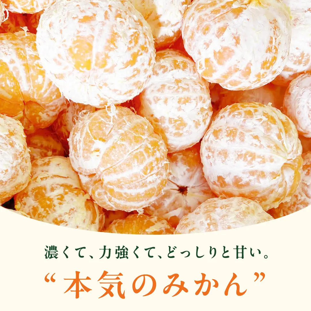 オーガニック 瀬戸内みかん 3kg (30~40個程度)  【2026年10月中旬～1月発送】