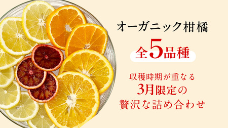 国産 オーガニック フルーツ 詰め合わせ 3kg 【 先行予約 3月 発送予定】 レモン ブラッドオレンジ はるか 不知火 紅八朔 有機JAS認証