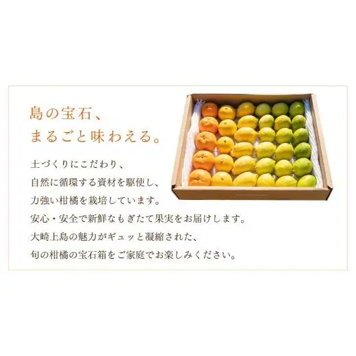 島の宝石箱！瀬戸内 旬の柑橘カラフルギフトセット ( レモン 約2kg /みかん 約1kg ) 【2026年 11月 ～ 12月 発送】 先行予約