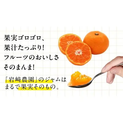 岩﨑農園 無添加 手作り ジャム 200g 1本