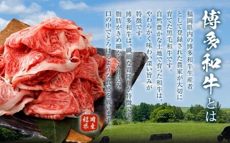 博多和牛 リッチな切り落とし 300g×4パック 計約1.2kg 肉 牛肉 お肉 すき焼き 切り落とし