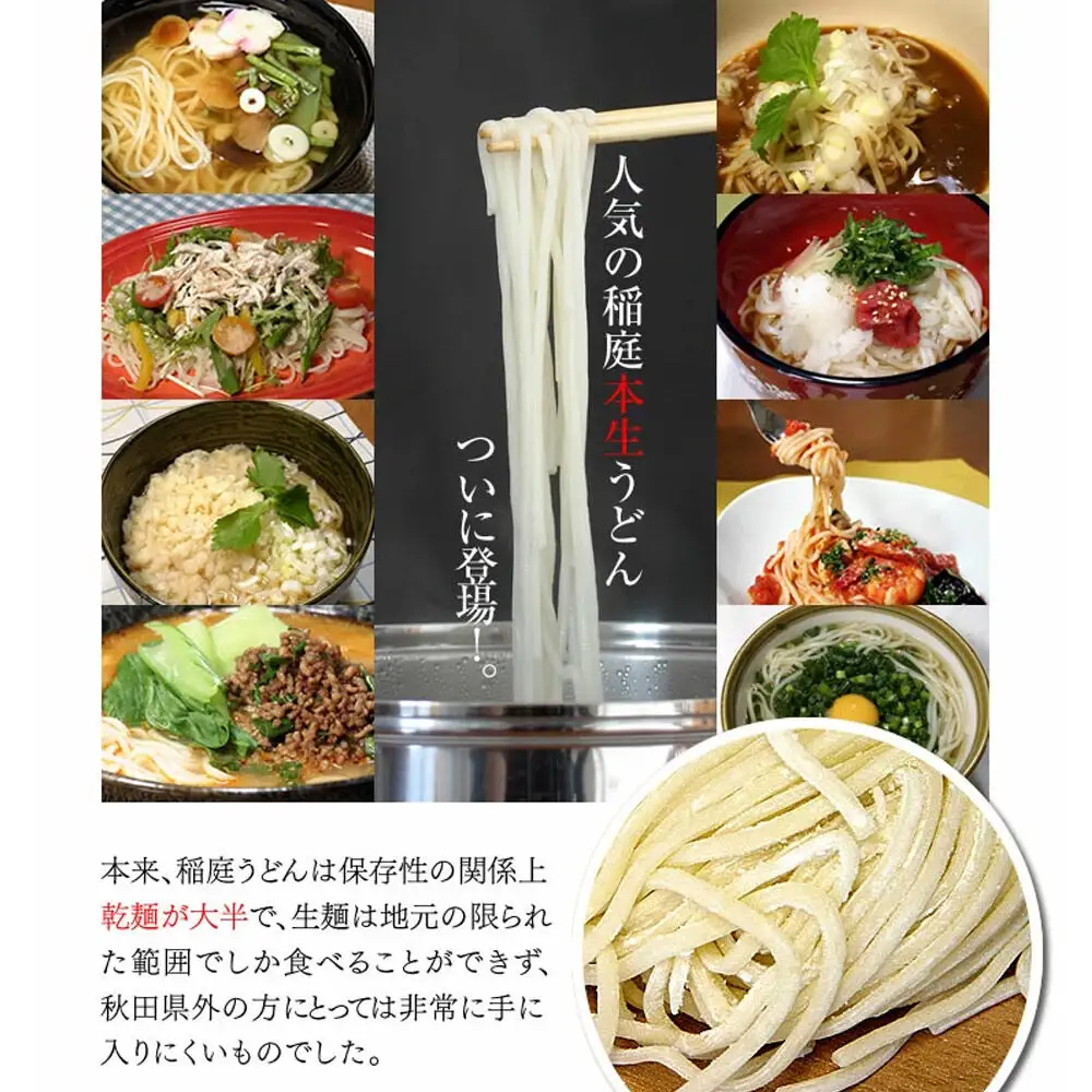 稲庭本生うどん 8食・比内地鶏つゆ 500ml×1本 セット