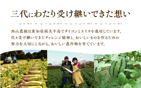 西山さんの切干大根 5袋 計200g (各40g) 切り干し大根