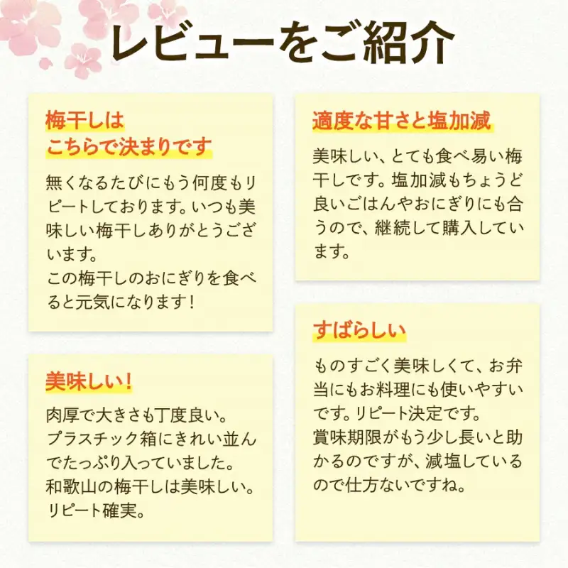 紀州南高梅　村っ子梅（塩分約8％）400g×1 はちみつ梅干し / 和歌山 梅干し 田辺市 紀州南高梅 南高梅 梅干 梅 うめ 肉厚 お米 おにぎり 焼酎 梅酒 健康 はちみつ入り 減塩 塩分控えめ ご飯のお供【fuz029】