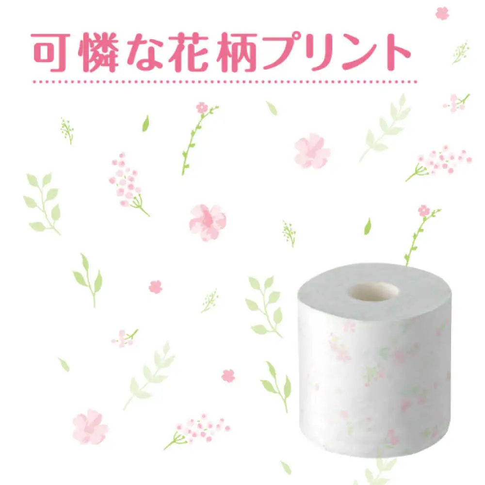 【全3回定期便(2ヵ月に1回)】クリネックス システィ（ダブル） 40ロール(4ロールｘ10パック) トイレットペーパー [BDAM005]