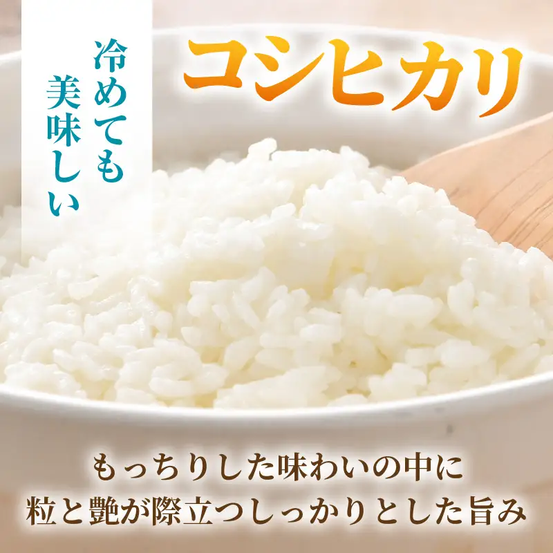 【先行予約】【令和8年産 新米】ワルツ農場のコシヒカリ クリーン精米 10kg（5kg×2袋） 特別栽培米【納得の美味しさ】減農薬 有機肥料使用 / お米 ご飯 白米 発送直前 精米 つや 艶 甘味 旨み 北陸 あわら市産 福井県産 ブランド米 ※2026年10月下旬以降発送予定 [aw046-b004]