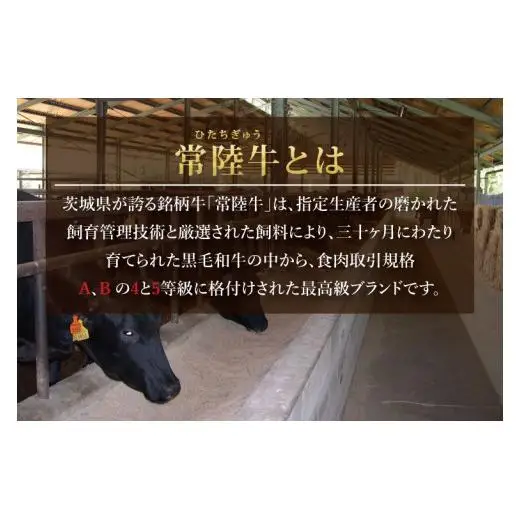 03-38 茨城県銘柄黒毛和牛常陸牛サーロインステーキ約500g【ブランド牛 牛肉 黒毛和牛 ひたちぎゅう 良質 霜降り 冷凍 茨城県 阿見町】