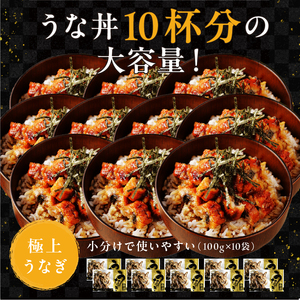 きざみうなぎ蒲焼き 10食  [001-a051]
