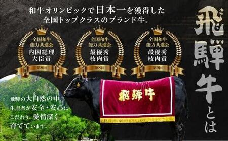 飛騨牛 ステーキ 赤身ヒレ 300g ステーキ JQ024-CP01 FN-Limited-PR