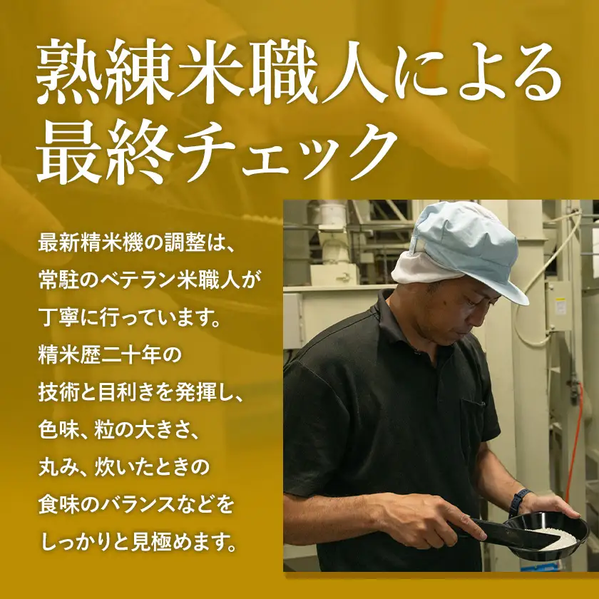 【無洗米】令和7年産 こしひかり5kg 無洗